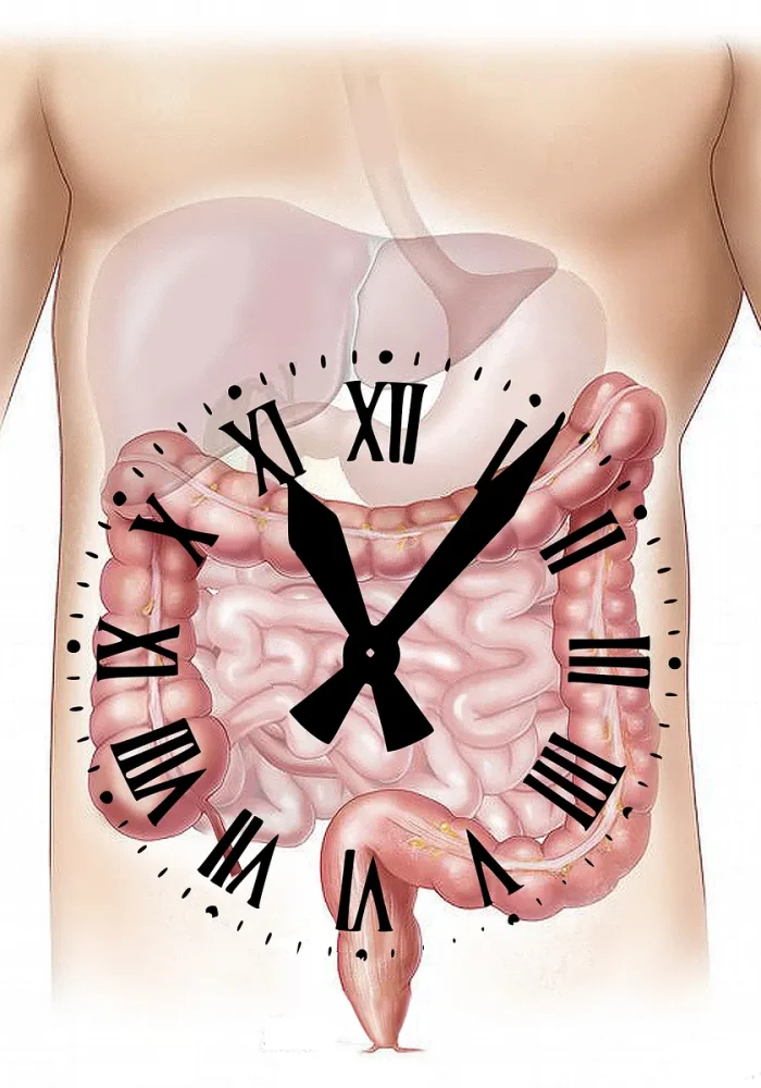 gut health