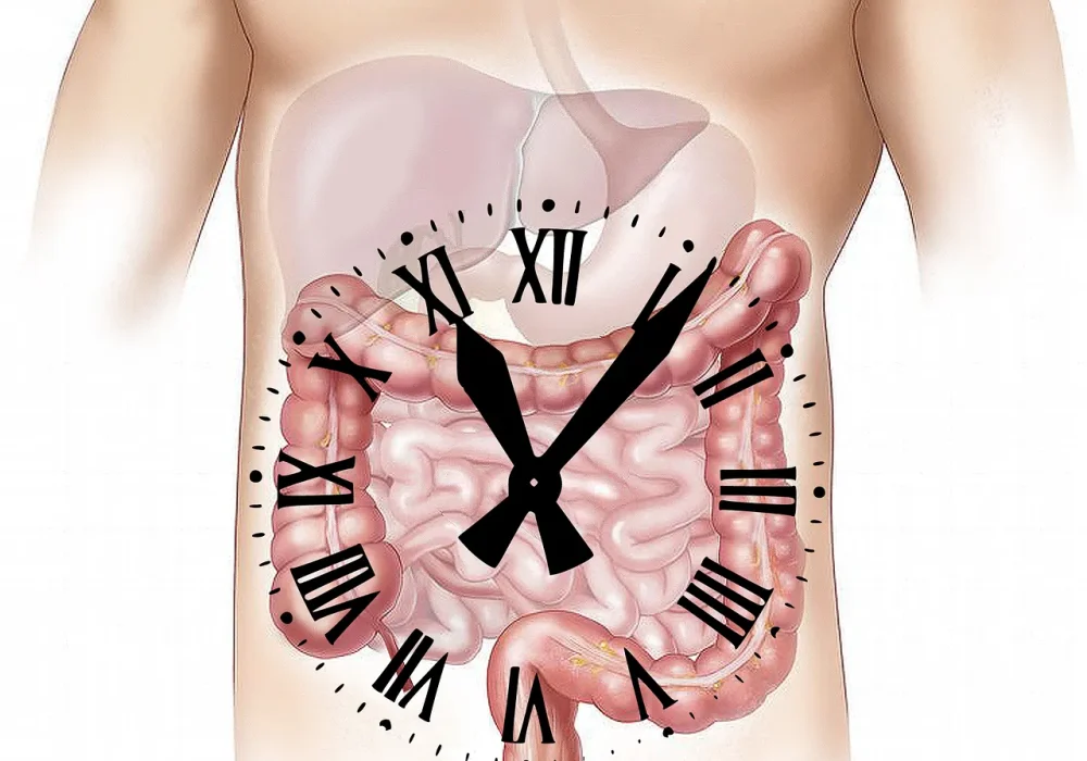 gut health